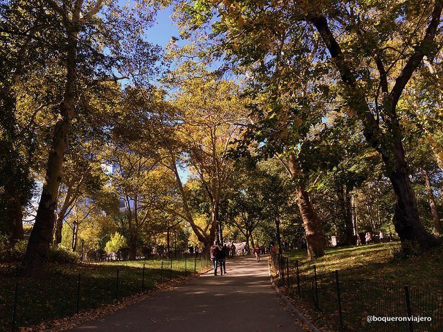 Paseando por Central Park en otoño