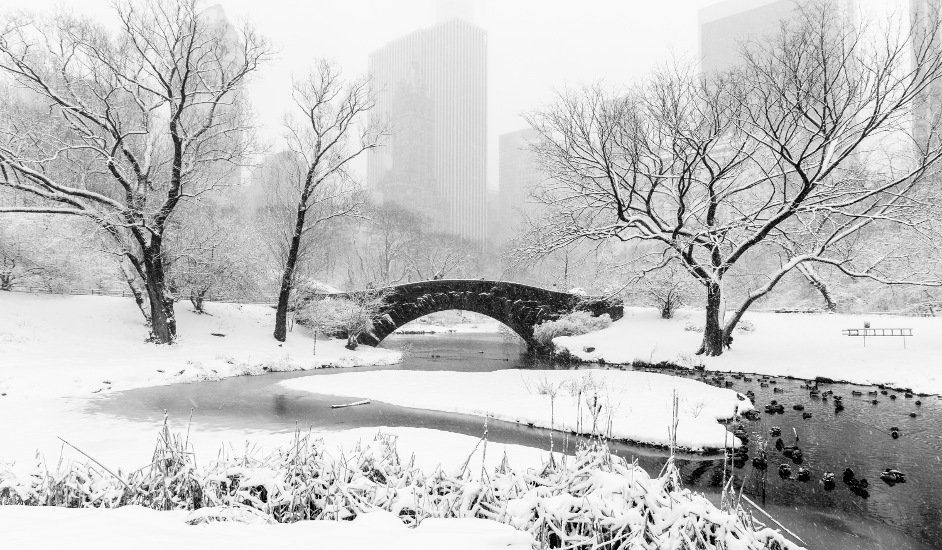 Pasear por Central Park es una de las cosas que hacer en Nueva York en la nieve.