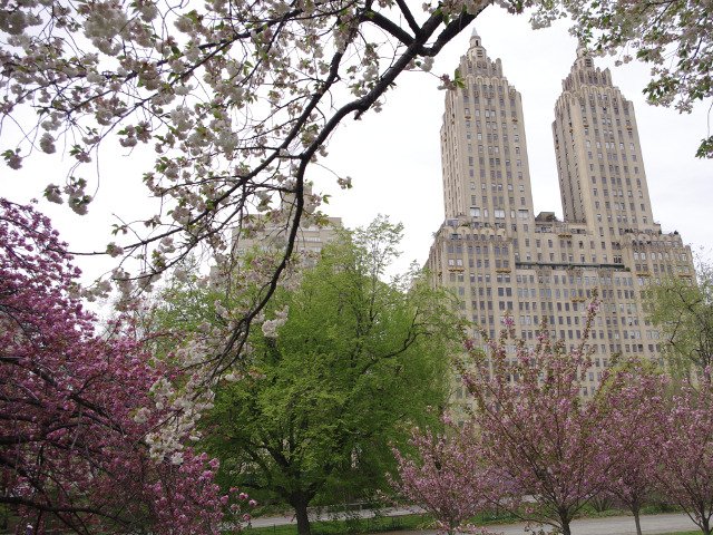 Central Park sin coches San Remo en primavera