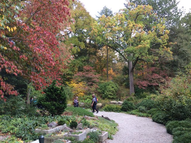 Hojas del otoño en el Jardín Botánico de Nueva York en el Bronx
