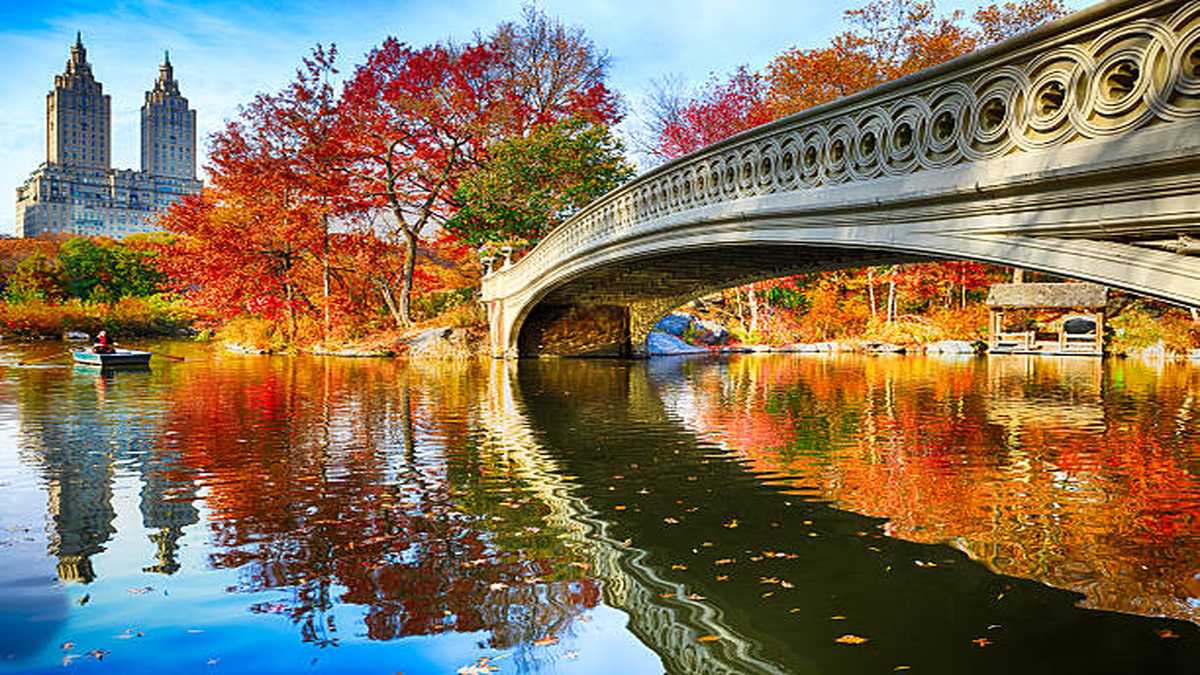 Bow Bridge en otoño con colores vibrantes en Central Park